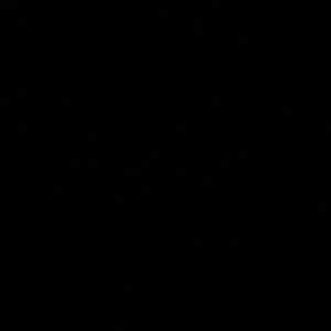 Meet your Posher, Tiara